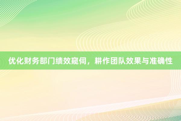 优化财务部门绩效窥伺，耕作团队效果与准确性